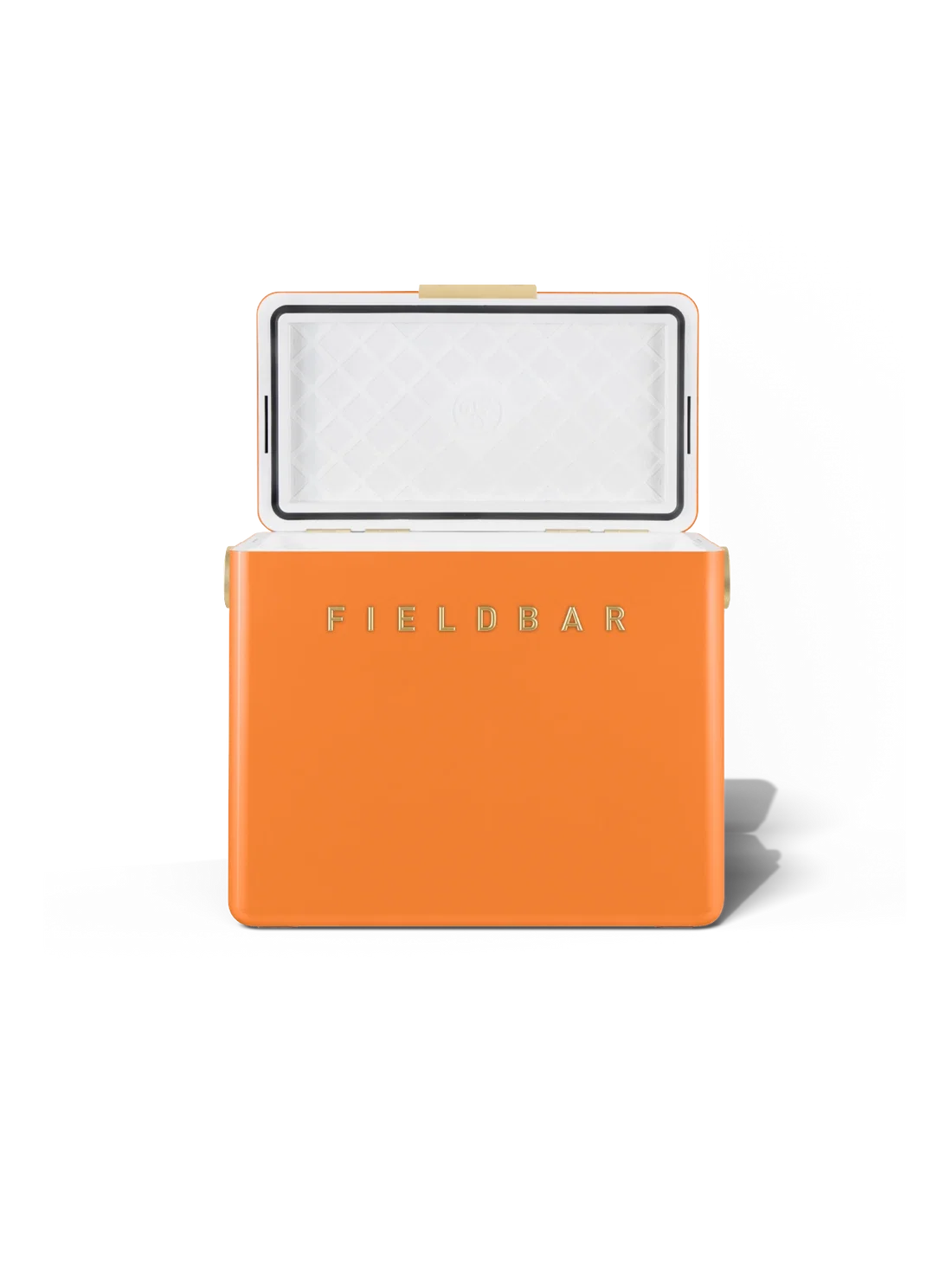 Gin Trunk / Orchard Orange