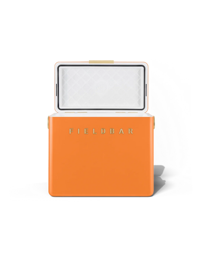 Gin Trunk / Orchard Orange